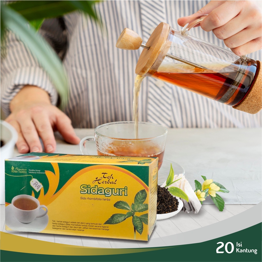 

Teh Celup Sidaguri Isi 20 Kantung | Herbal Tazakka | Original