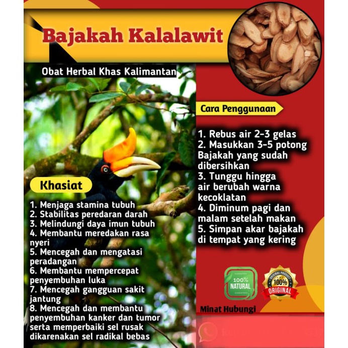 

Bajakah Asli Kalalawit Merah Super 1Kg 100% ASLI Asli Kalimantan Obat Herbal Kanker,