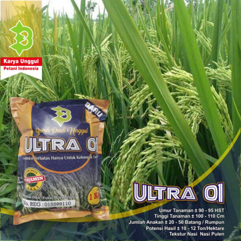 Benih Padi Ultra 01 / Benih Padi Unggul Ultra 01
