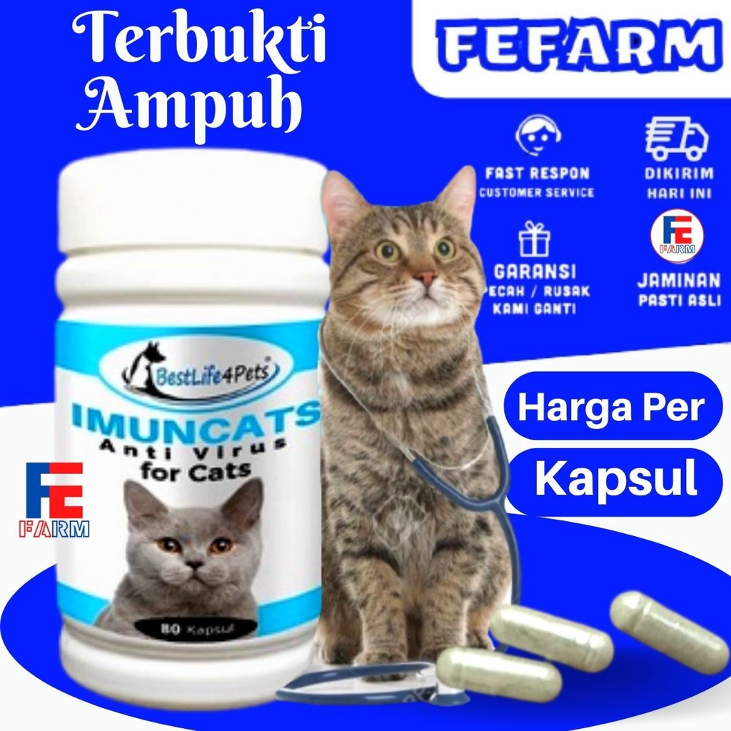 Imun Booster Anti Virus Kucing Trnsfer Factor Capsule FEFFAARM