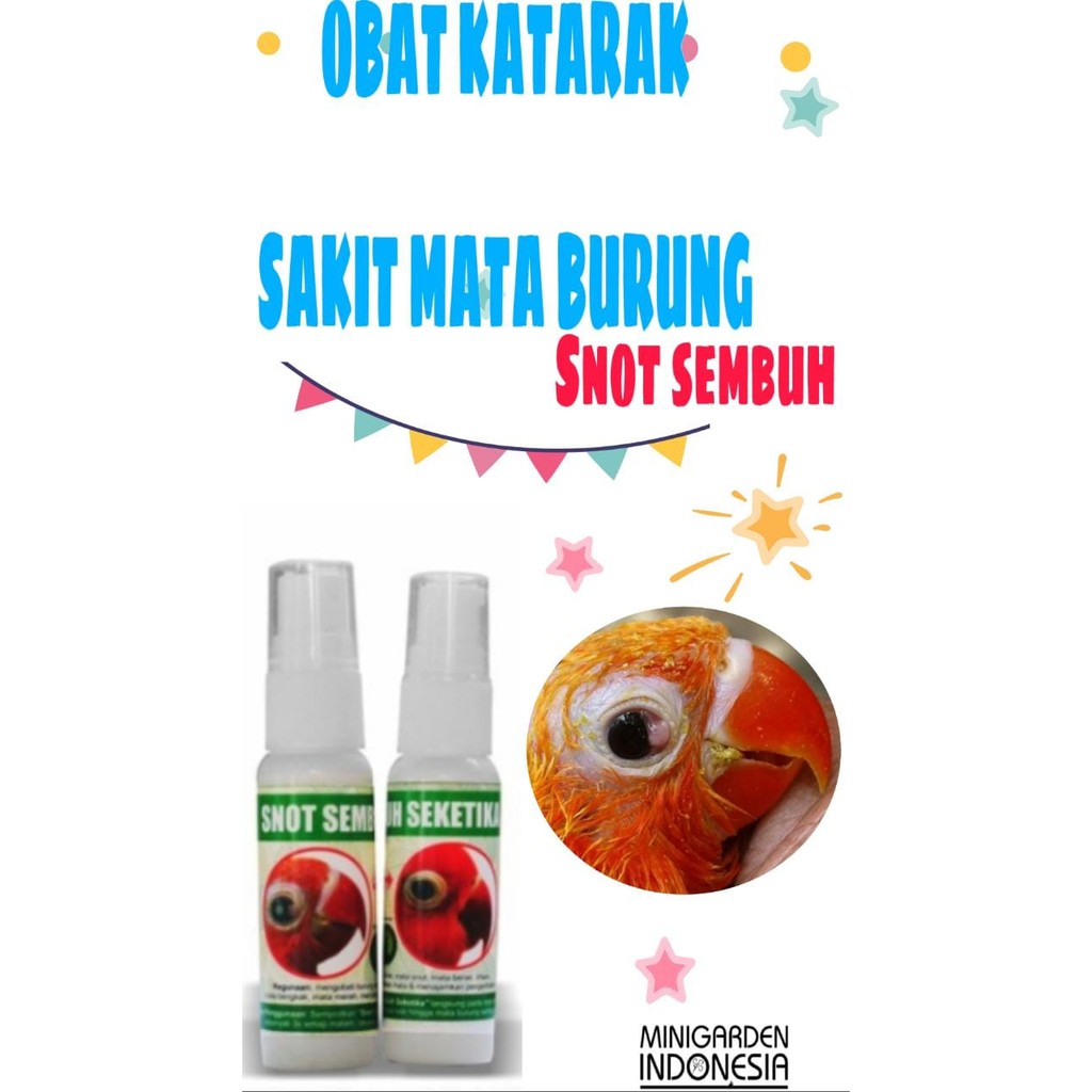 OBAT SAKIT MATA BURUNG KATARAK SNOT SEMBUH SEKETIKA iritasi bengkak obat mata spray