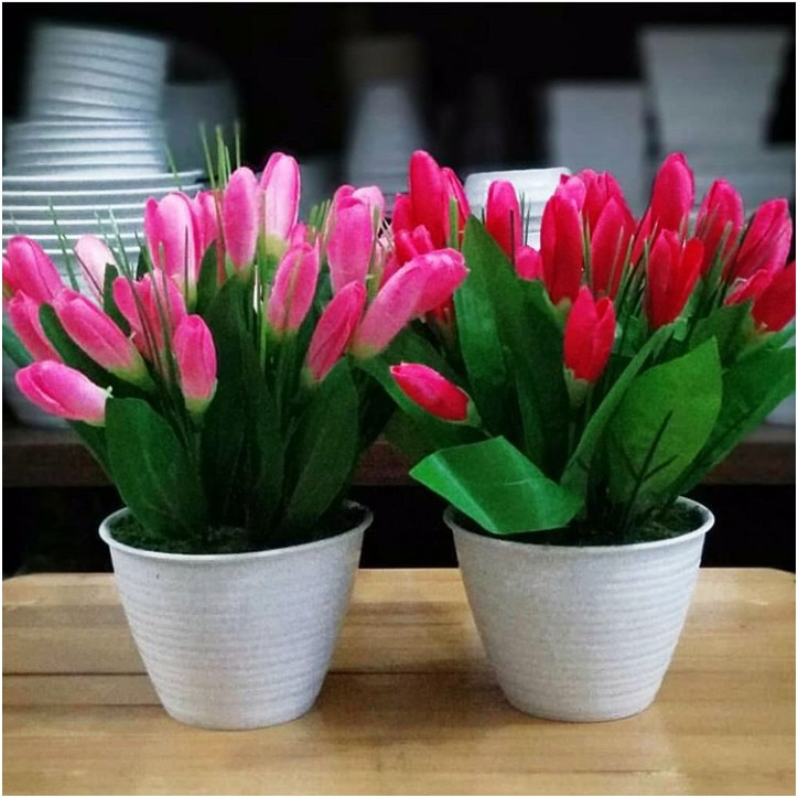 Naindo Bunga Tulip Cantik Dengan Pot Tawon Hiasan Ruang Tamu Dan