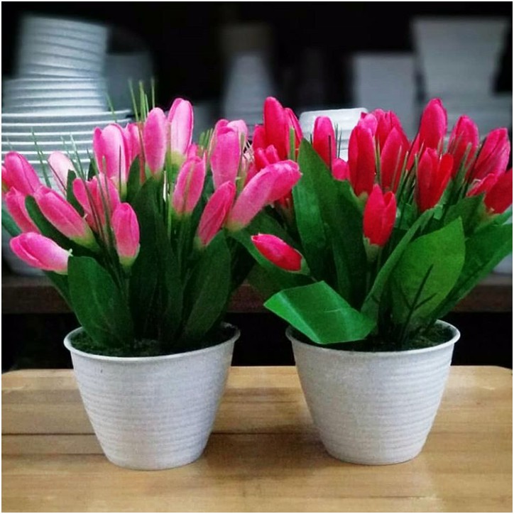 Naindo Bunga Tulip Cantik Dengan Pot Tawon Hiasan Ruang Tamu Dan Kantor Tinggi 22 Cm Shopee Indonesia