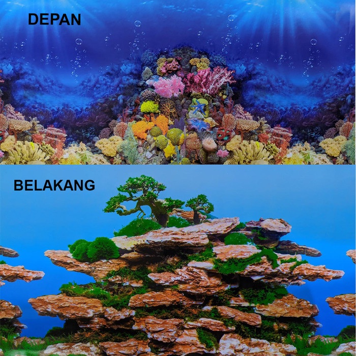 Background Aquarium 50Cm / Gambar Belakang Aquarium Tinggi 50Cm