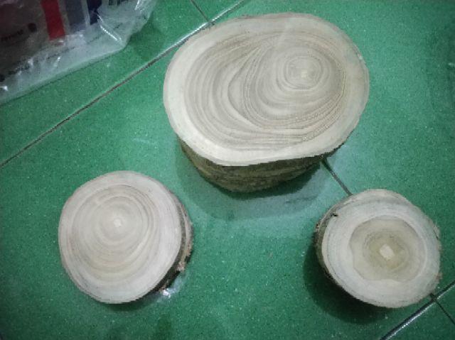 Wood Slice Potongan Kayu Jati Diameter 9 - 10 Cm