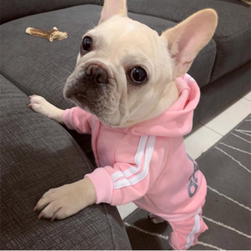 Pakaian Jumpsuit Untuk Anjing French Bulldog