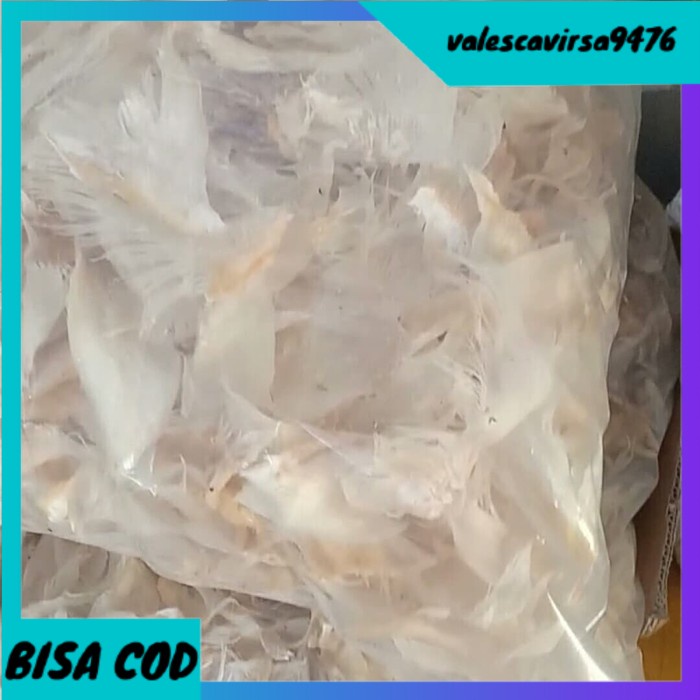 

⭐BISA COD⭐ Sirip Ikan Hiu Kering Murah 100 Gram