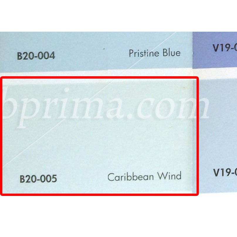 No Drop Tinting B20-005 Caribbean Wind 4 kg