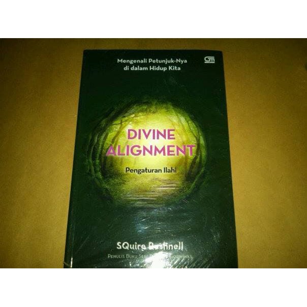 

marinashop77 Buku Divine Alignment - Squire Rushnell