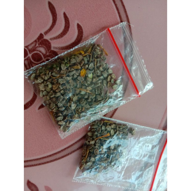 Biji tanaman bunga matahari mini isi 140 biji