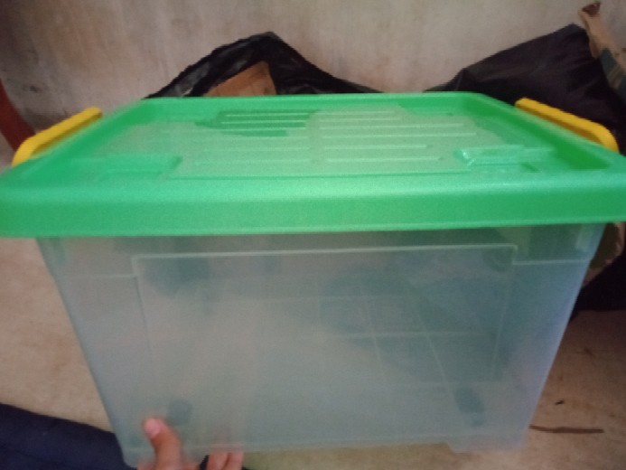 Container/box Roda C 50 Twinpan