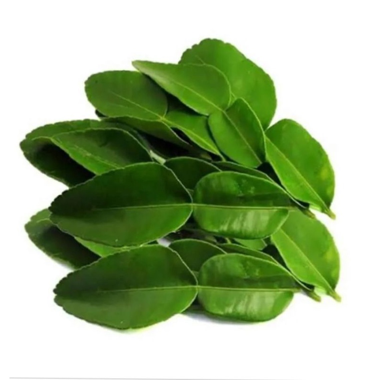 

Daun Jeruk 100 gram per pack