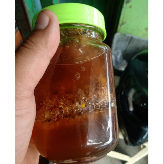 

Madu hutan sumatera asli