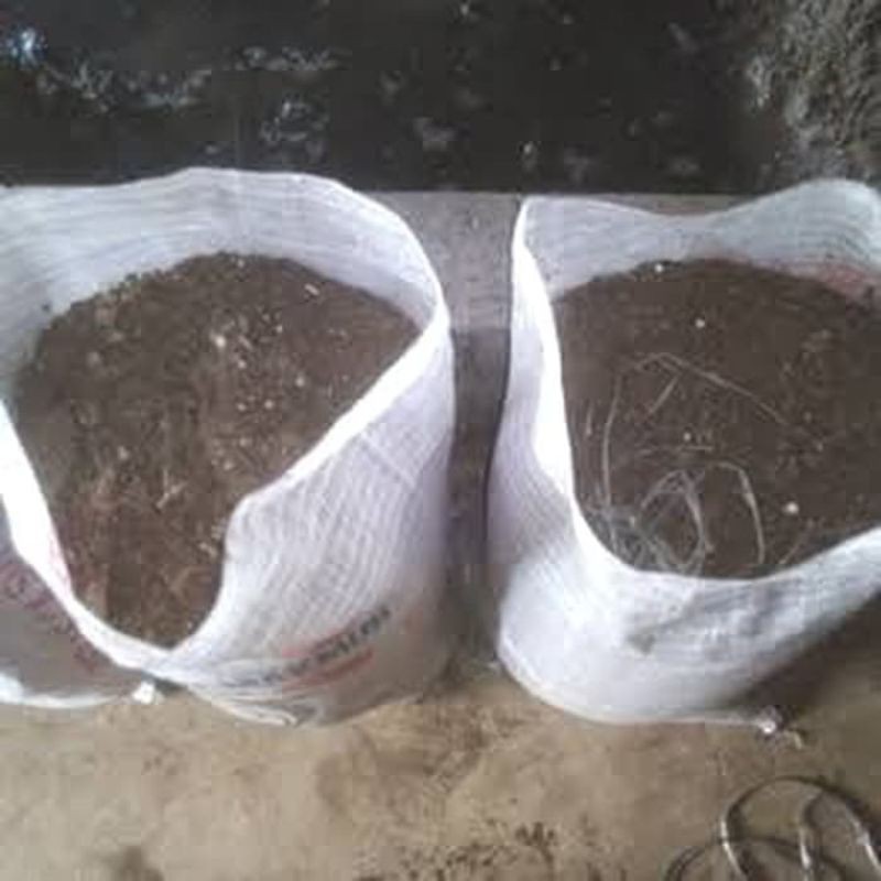 Kotoran Burung Walet / Pupuk Burung Walet