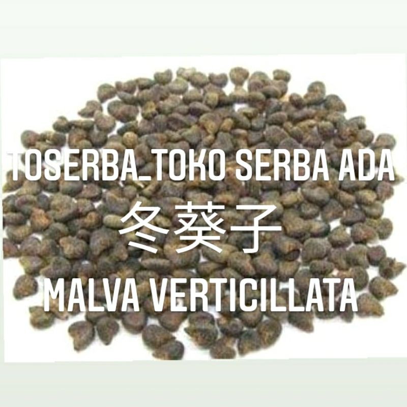 

100gr Herbal Dong Gui Zi 冬癸子 Biji Kembang Sore Abutilon Indicum Semen Abutilon Seed Indian Mallow Seed Chingma Abutilon Seed Mealva Crispa Premium Grade