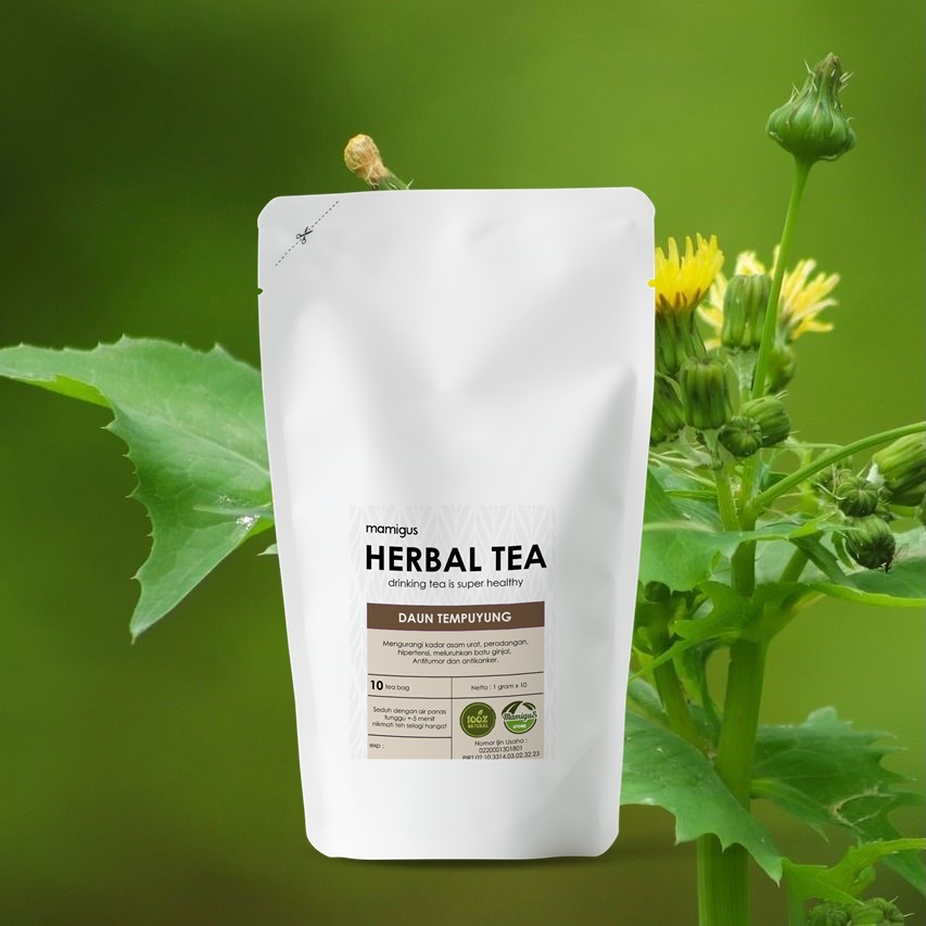 

TEH CELUP TEMPUYUNG / Teh Tempuyung / Tempuyung Leaf Tea / Teh Herbal Alami Premium