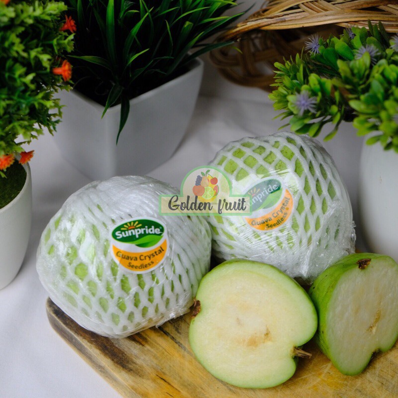 

Jambu Kristal Sunpride