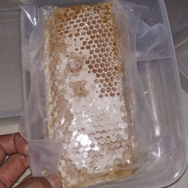 

Madu Sarang Malifera 500gr