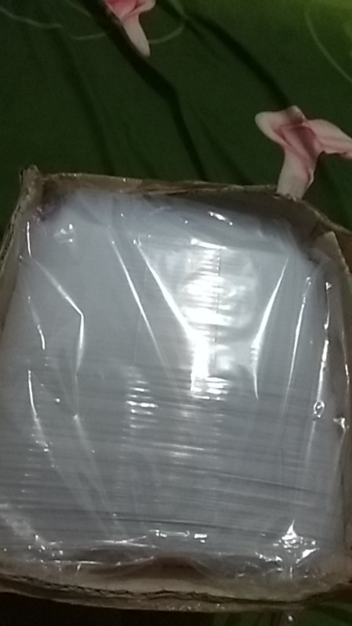 Thinwall Persegi Panjang(rectangle) 500ml/tempat Salad/box Nasi