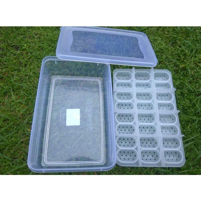 incubator reptile / egg tray isi 24