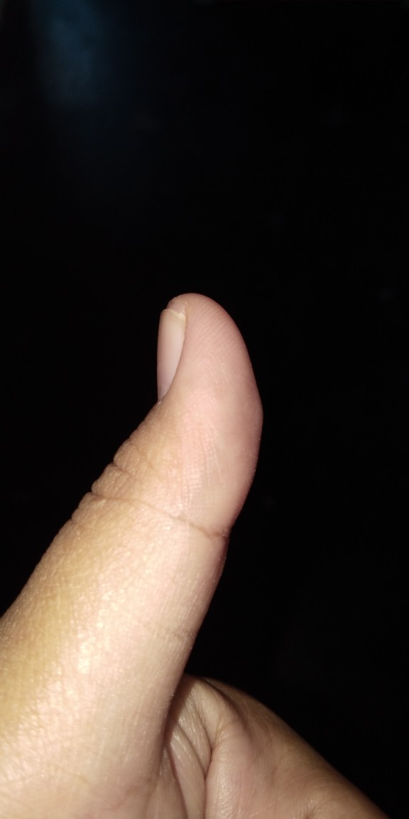 Electric Chain Saw Nankai