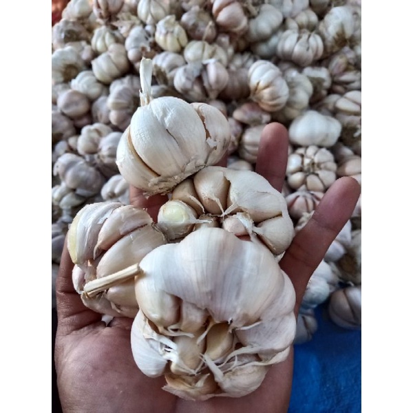 

bawang putih 250 gram
