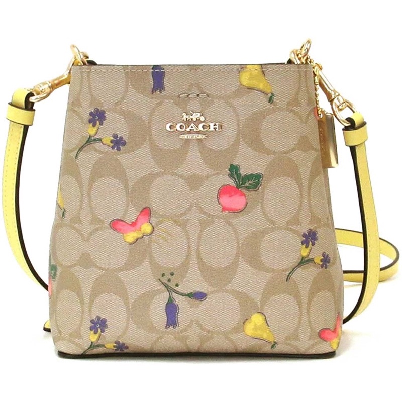 Coach Mini Town Bucket Bag With Dreamy Vegie Print (C8255)