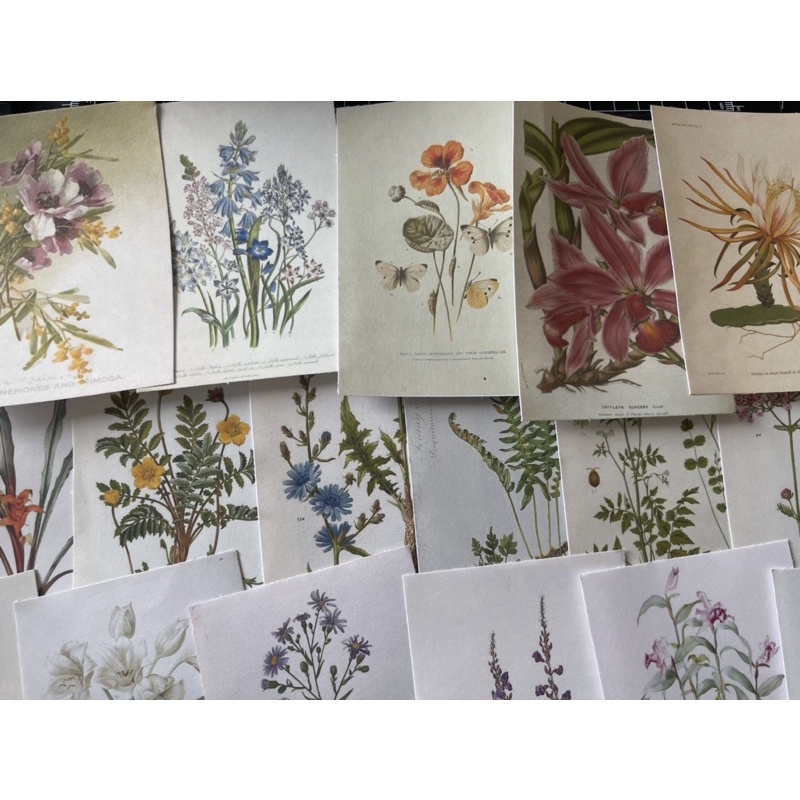 

Vintage Botanical Series for scrapbooking, Journaling, penpal and snailmail