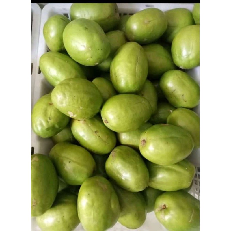 

BUAH KEDONDONG SEGAR SETENGAH KILO
