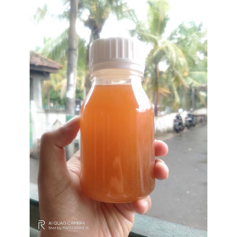 

Madu Murni Asli Natural Raw Honey