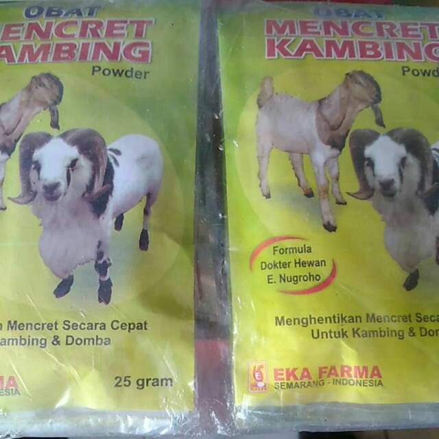 Obat mencret kambing