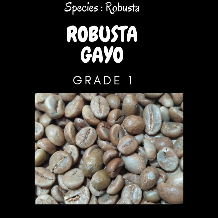 

TERMURAH I Green bean Robusta Gayo - Fine robusta 1kg