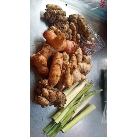 

Jahe,Lengkuas,Sere,Kencur,Kunyit dan rempah² komplit 300gr