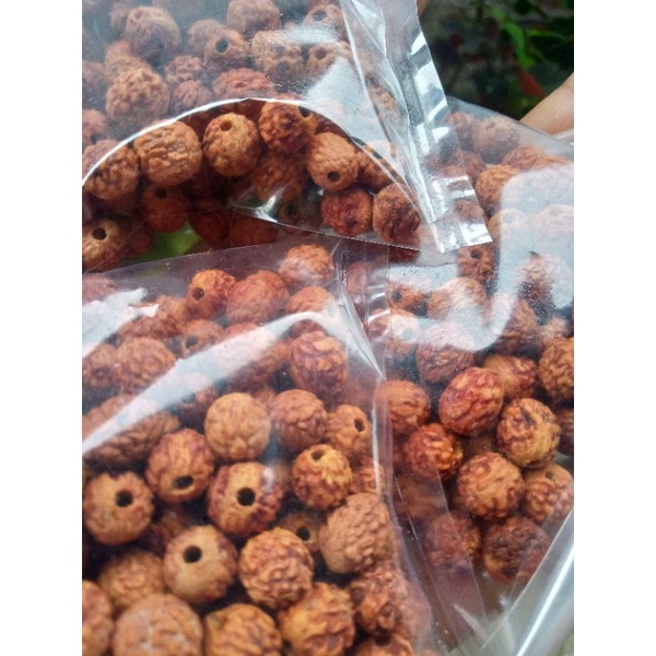 225butir biji bidara arab sudah dibor free tali | bahan craft tasbih gelang kalung kerajinan tangan 