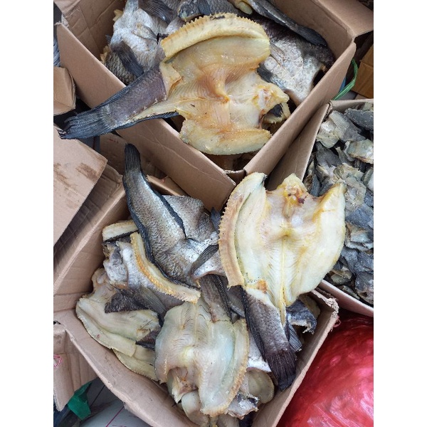

Garih haruan/gabus sungai 500gr