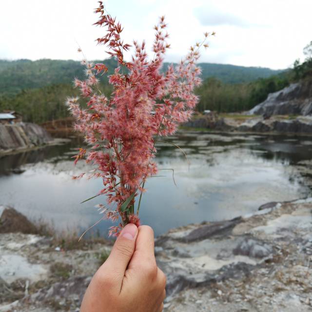 ikapujip