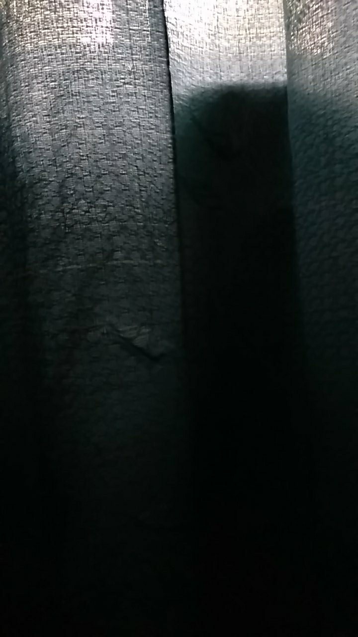 Sprei Kintakun Dluxe Uk. King (180x200)cm Dan Uk. Queen (160x200)cm Motif Bunga Artistik