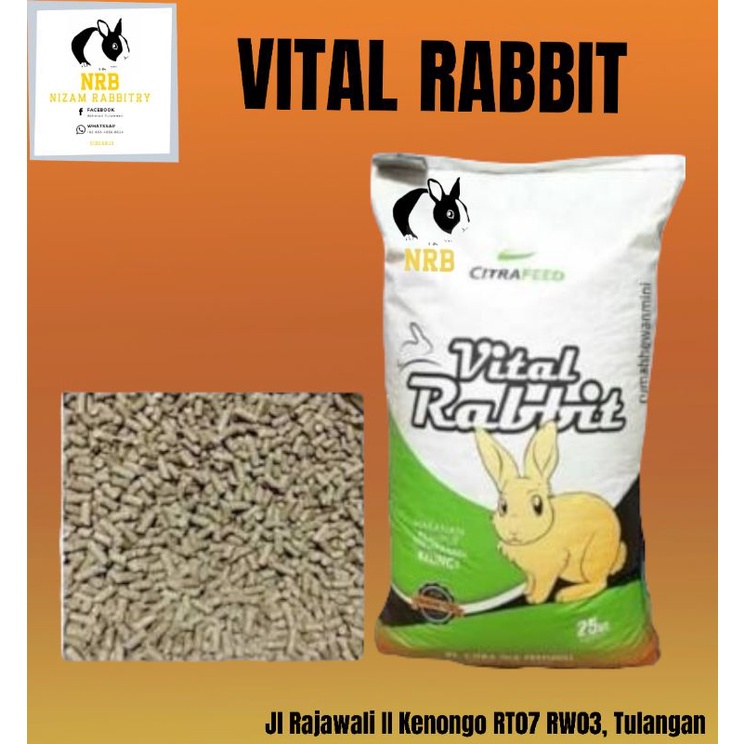 MAKANAN PAKAN PELET KELINCI VITAL RABBIT