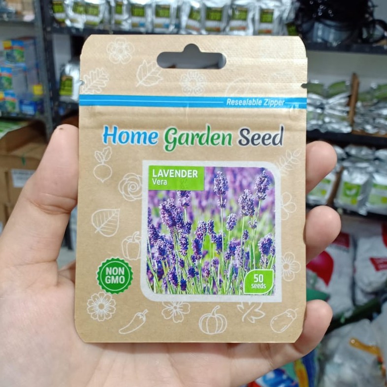 HGS - benih bunga LAVENDER MUNSTEAD - LAVENDER VERA - benih bunga