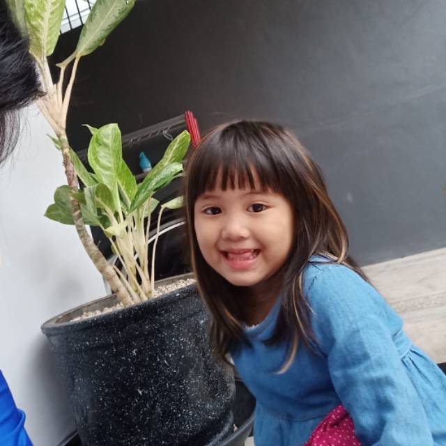 cute8988