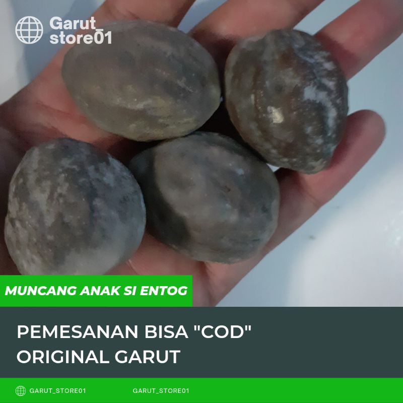 MuNCaNG aDu/KeMiRi aDu aNaK Si eNToG lagi NaiK DauN/Mayit jalim jawa ori yanti 4G super nyonyo