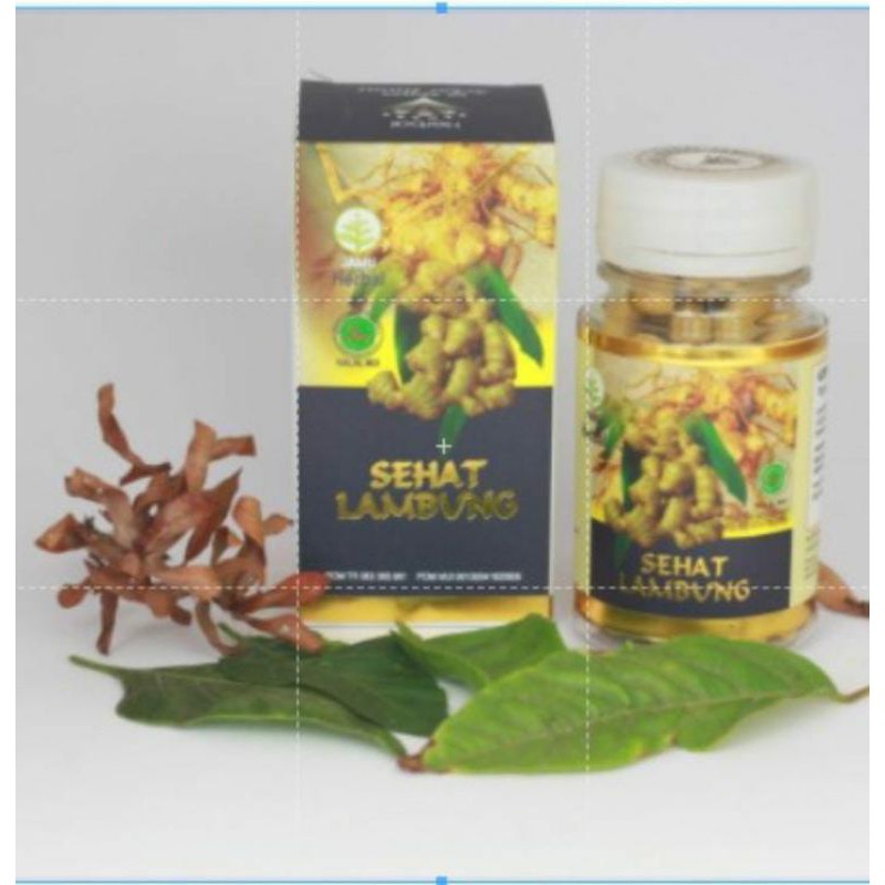 

Kapsul Sehat Lambung