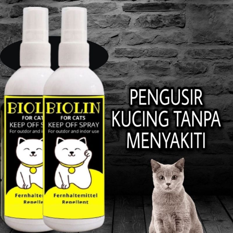 pengusir kucing melatih agar tidak berak pipis sembarangan biolin