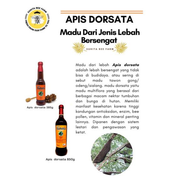 

Madu Hutan Apis Dorsata Suhita 50g&385g