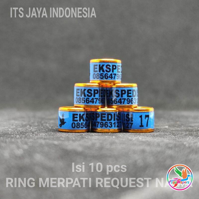 RING MERPATI CUSTOM NAMA RING MERPATI REQUEST NAMA SENDIRI RING MERPATI RODA STANDART BIRU