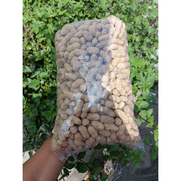 

kacang kulit sangrai/enak dan gurih 1000gr