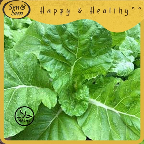 

Sen&Sun Pak Choy Sam Hong Organic 200 gr