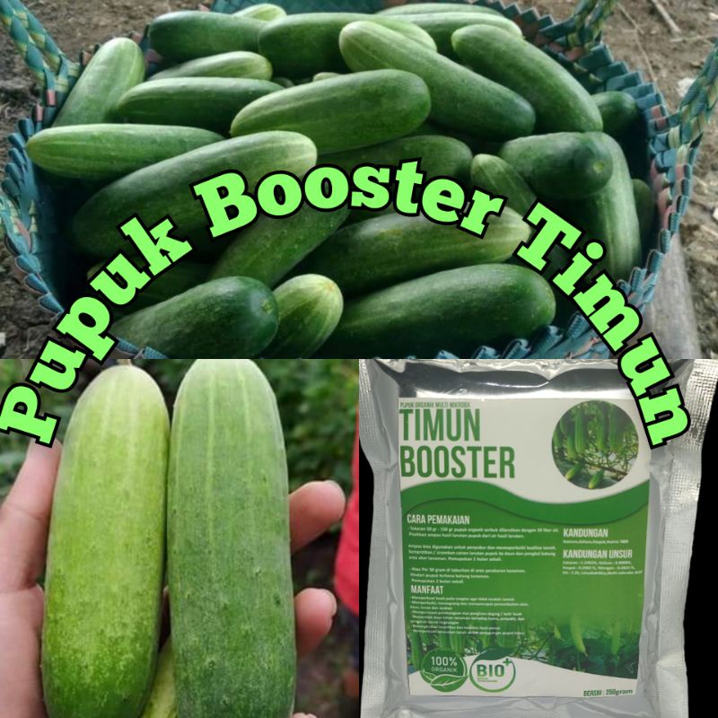 Pupuk booster TimunMurah Pupuk booster buah organik non kimia pupuk cair kilat npk urea merah peleba