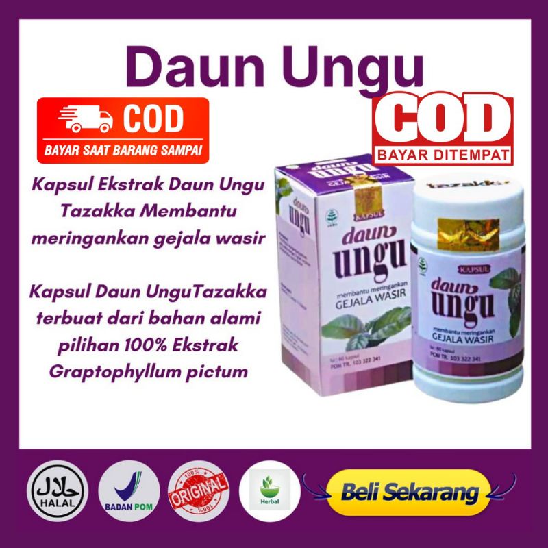 [ BISA COD ] Kapsul DAUN UNGU Tazakka Isi 60 - Obat Herbal Gejala Wasir Ambeyen Ambeien Susah BAB Se