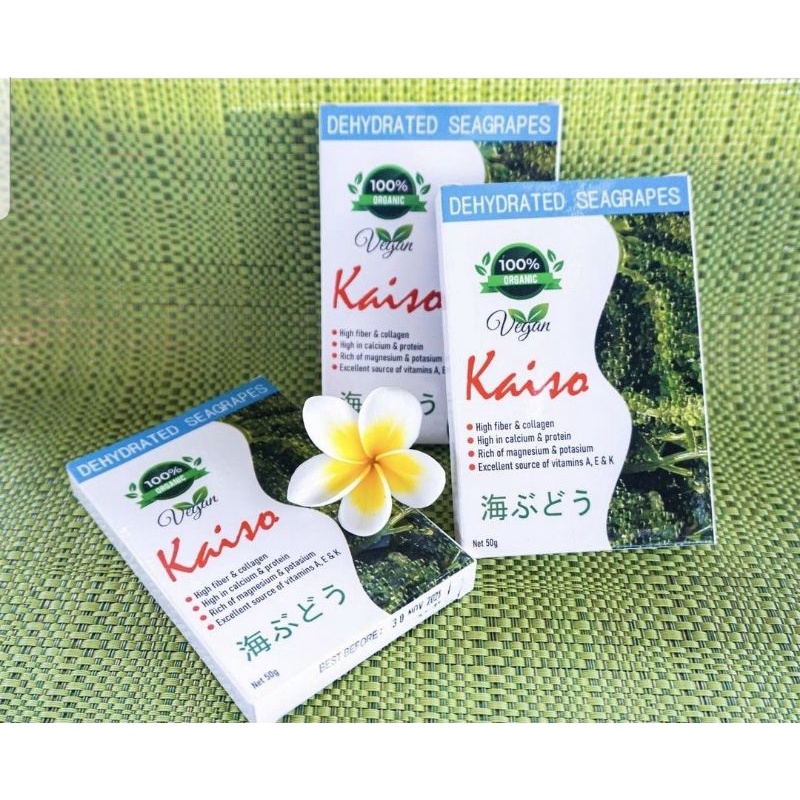 

Anggur Laut / Sea grapes / Umibudo / Green Caviar 50gr / Kaiso Dehydrated